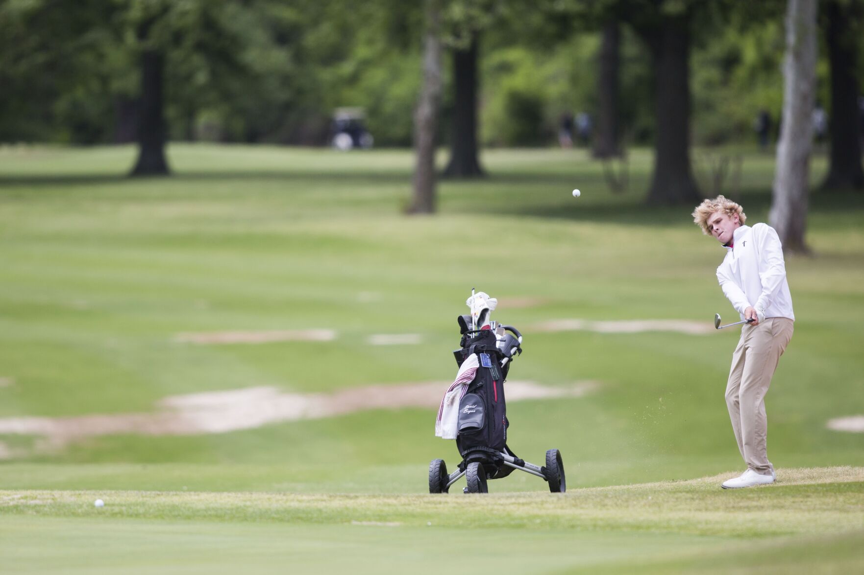 Boys State Golf Championships